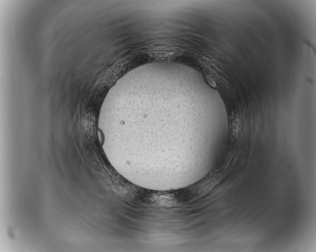 X0000100420283200806201830