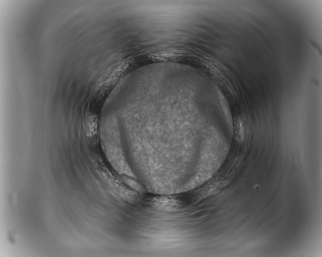 X0000100420284200806201830