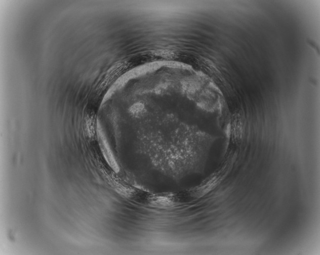 X0000100420285200806201830