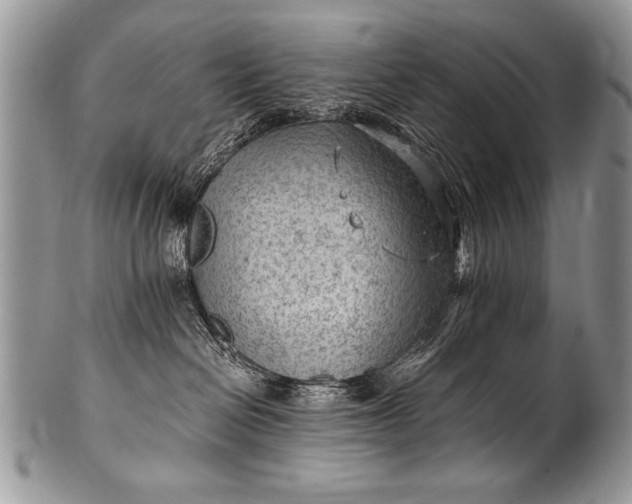 X0000100420286200806201830
