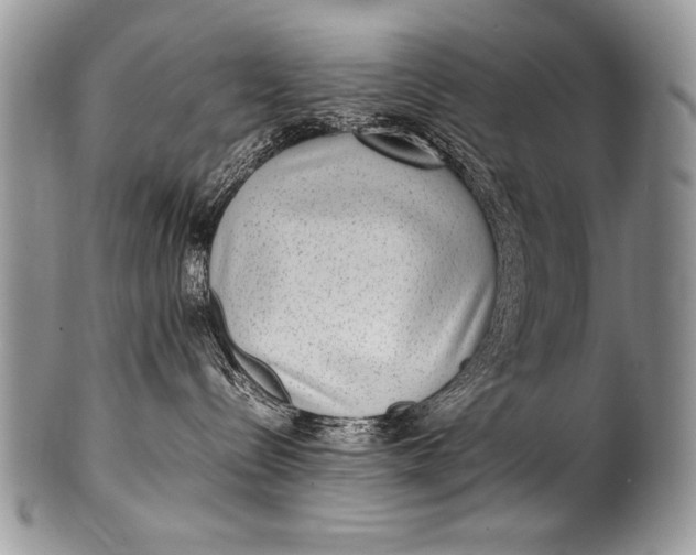X0000100420288200806201830