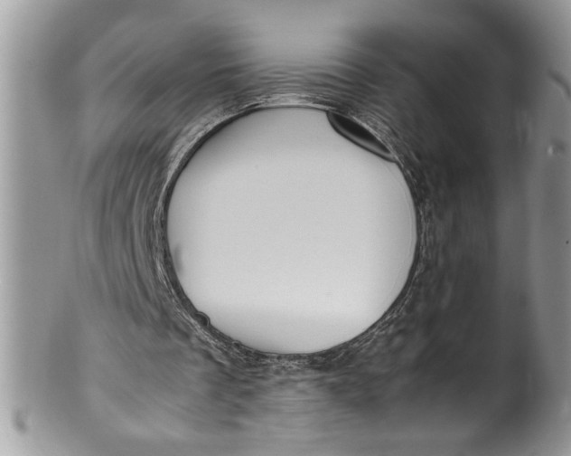 X0000100420289200806201829