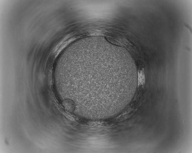 X0000100420291200806201829