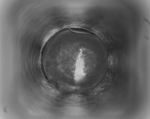 X0000100420292200806201829