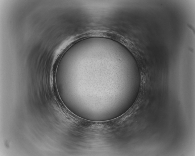 X0000100420294200806201829