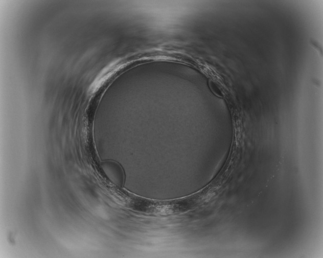 X0000100420295200806201829