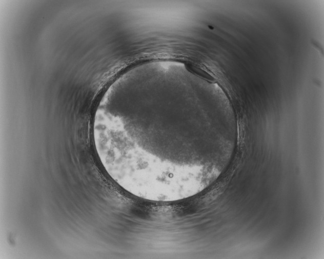 X0000100420301200806201829