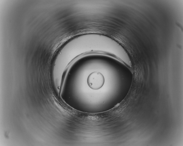 X0000100420302200806201829