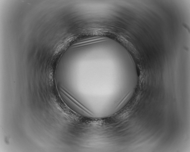 X0000100420306200806201829