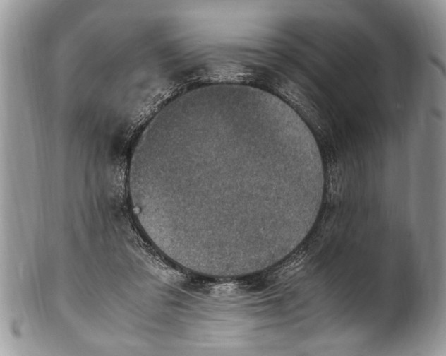 X0000100420309200806201829