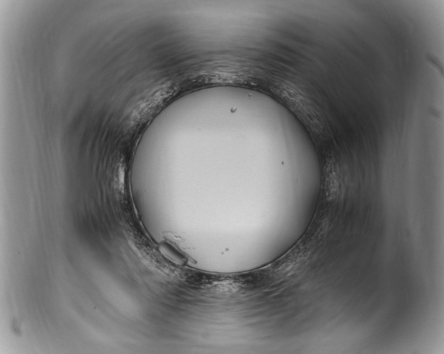 X0000100420310200806201829