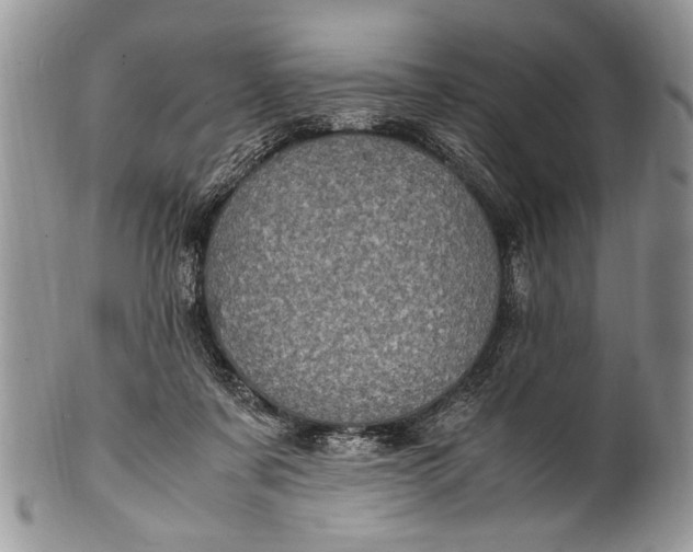 X0000100420311200806201829