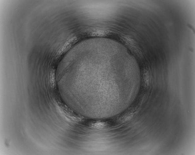 X0000100420312200806201829