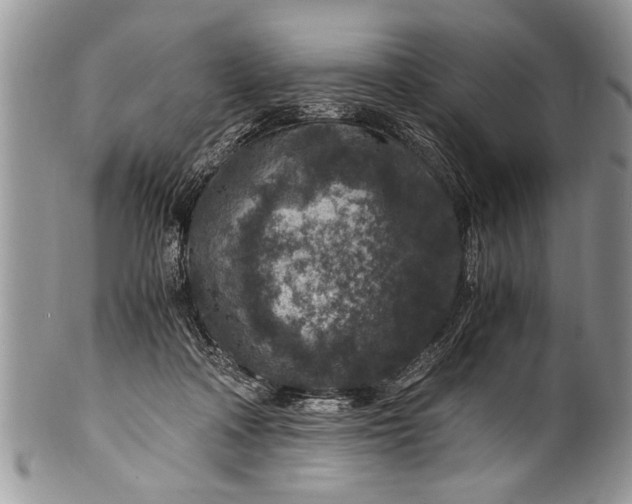 X0000100420314200806201829