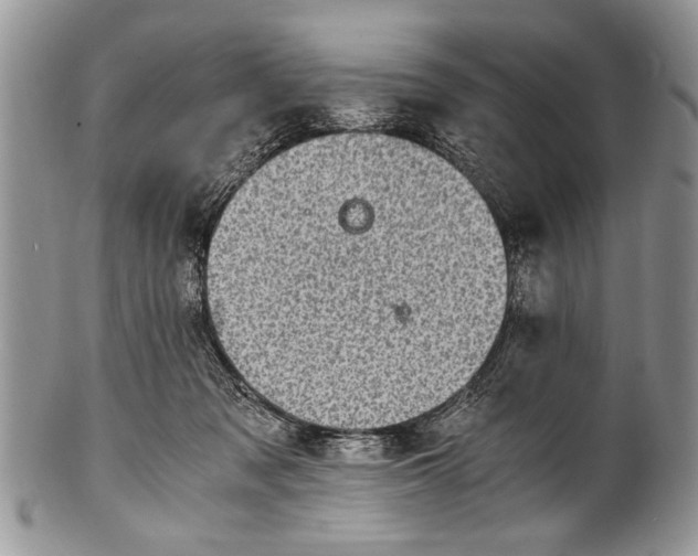 X0000100420317200806201829