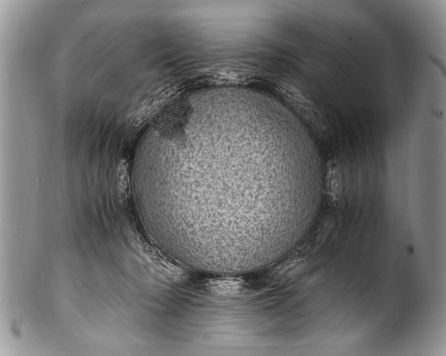 X0000100420318200806201829