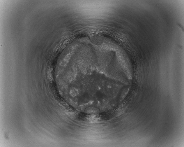X0000100420319200806201829