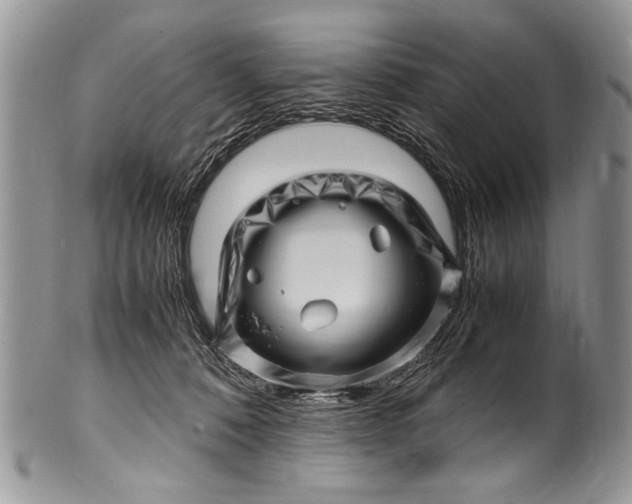 X0000100420320200806201829