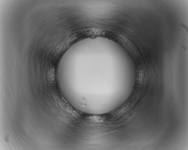 X0000100420326200806201828