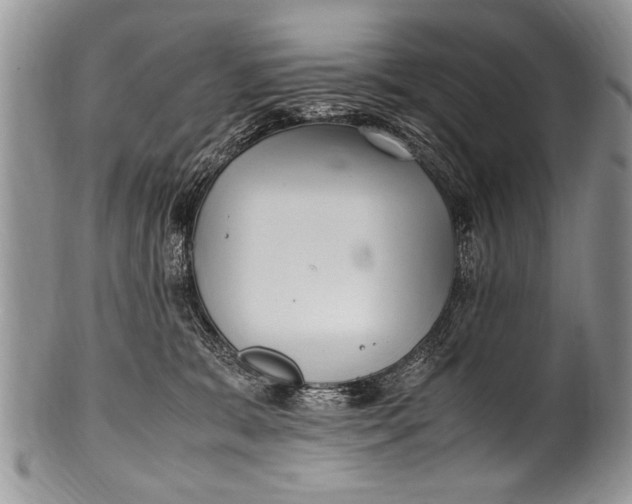 X0000100420327200806201828