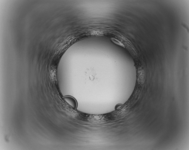 X0000100420329200806201828
