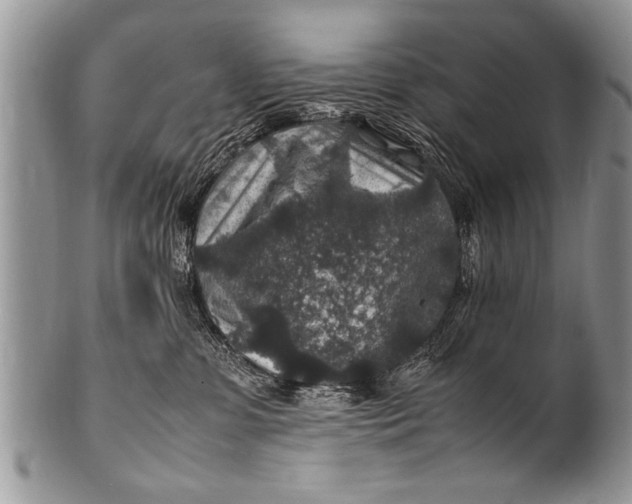 X0000100420331200806201828