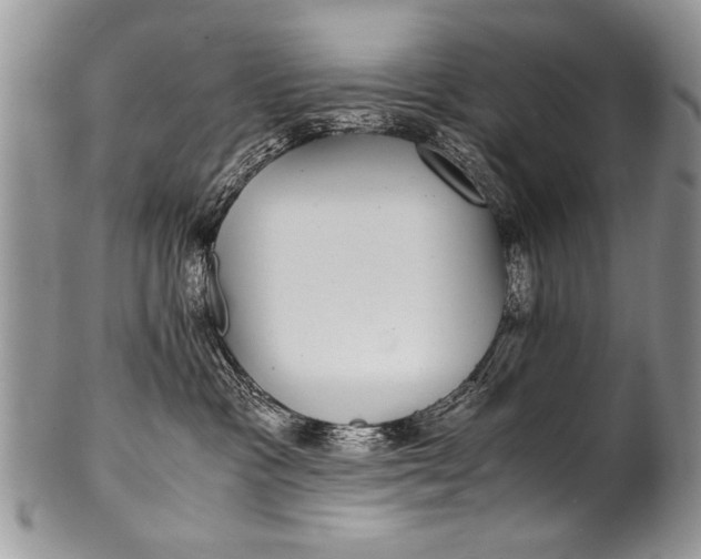 X0000100420333200806201828