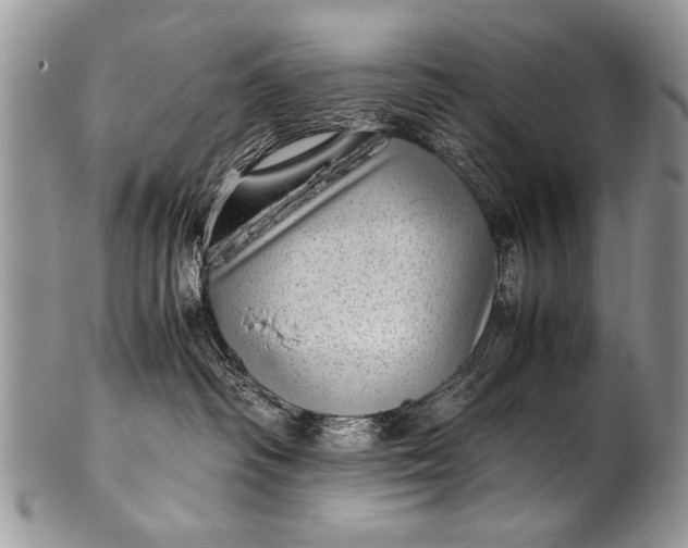 X0000100420334200806201828
