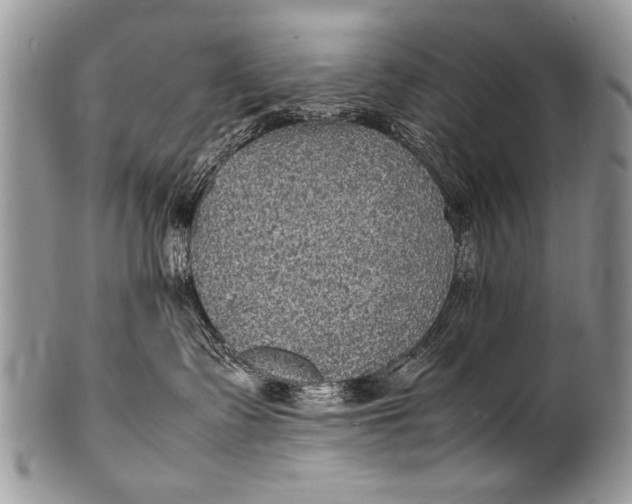 X0000100420335200806201828