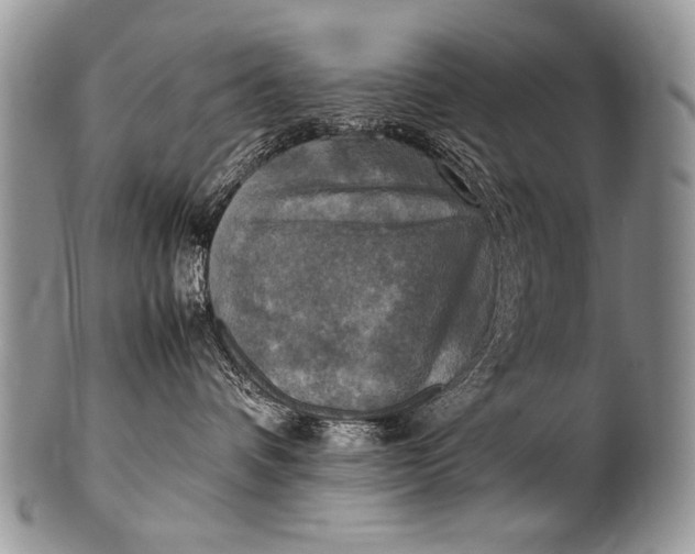 X0000100420336200806201828