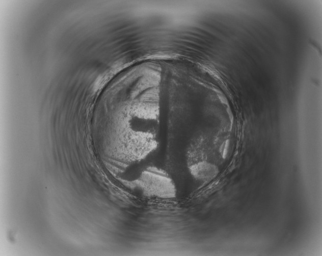 X0000100420337200806201828