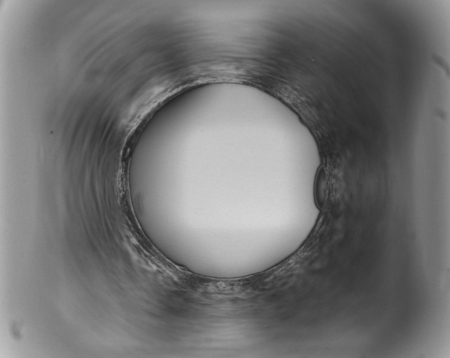 X0000100420338200806201828