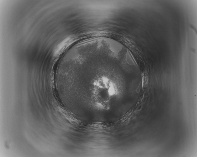 X0000100420339200806201828