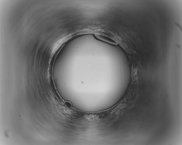 X0000100420340200806201828