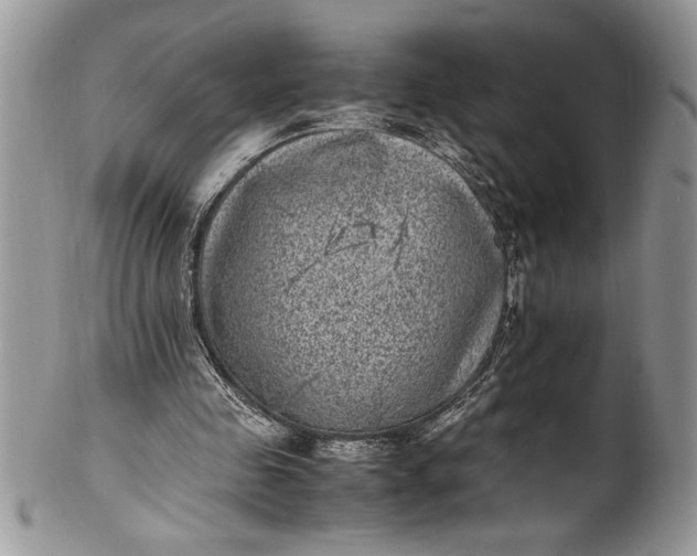 X0000100420341200806201828