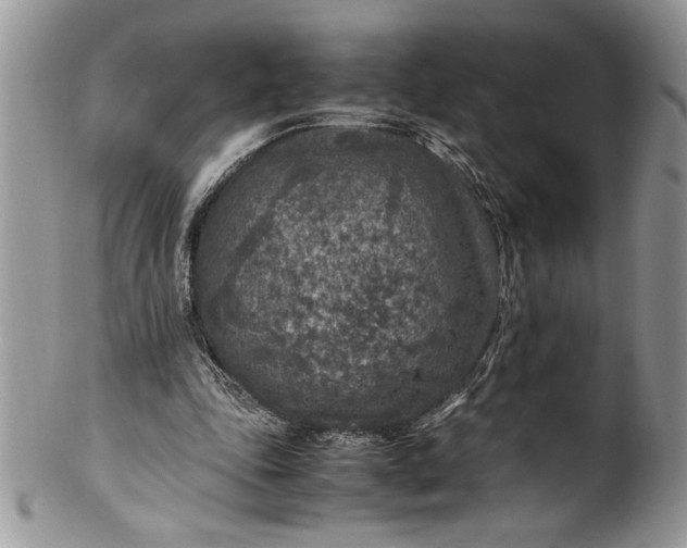 X0000100420343200806201828