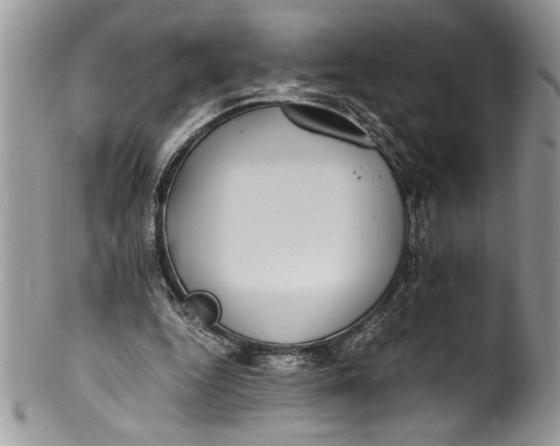 X0000100420344200806201828