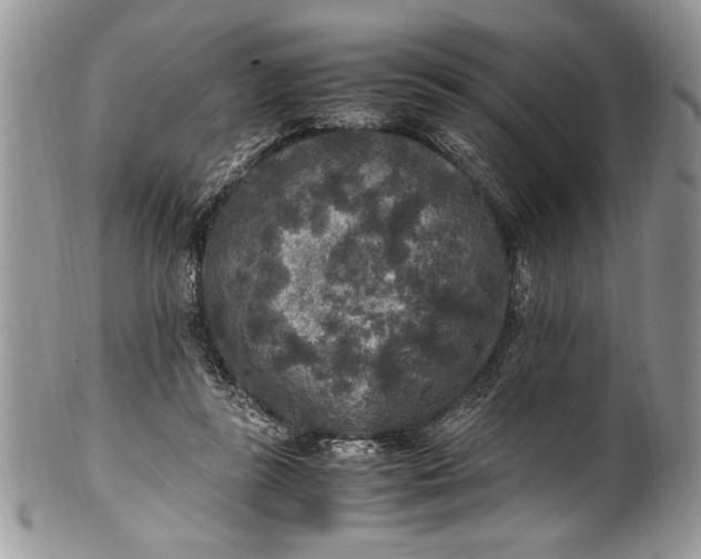 X0000100420355200806201828