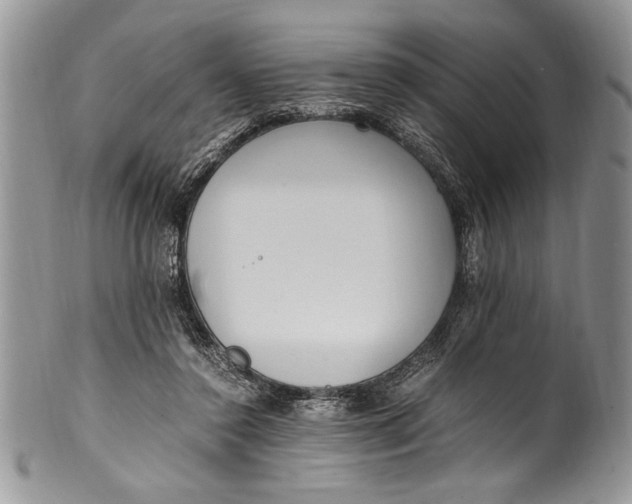 X0000100420356200806201828