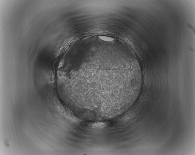X0000100420357200806201828