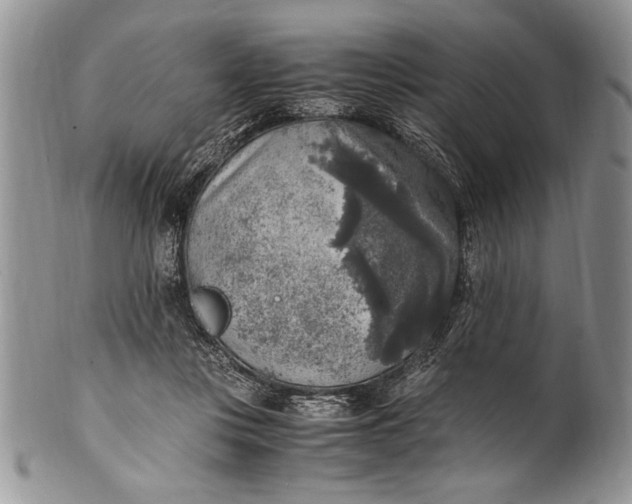 X0000100420359200806201828