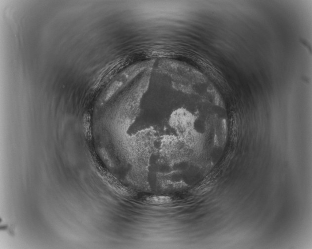X0000100420361200806201828