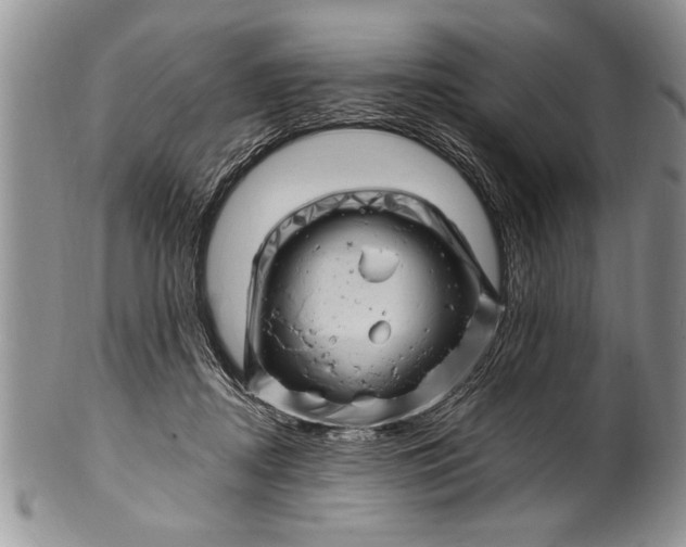 X0000100420362200806201828