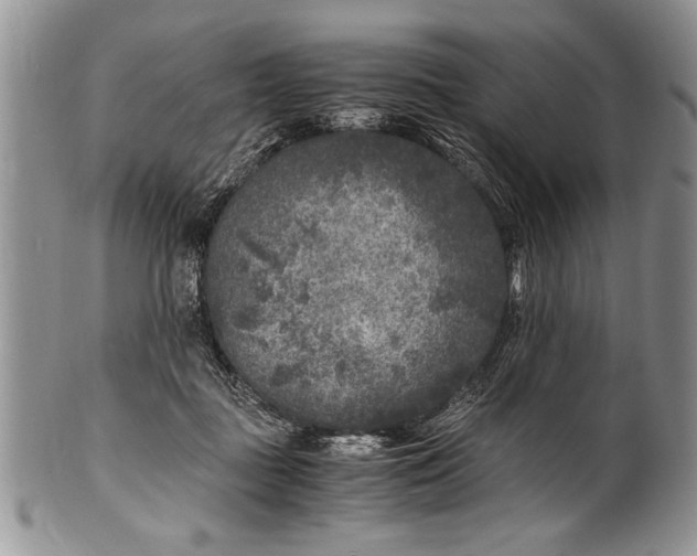 X0000100420363200806201828