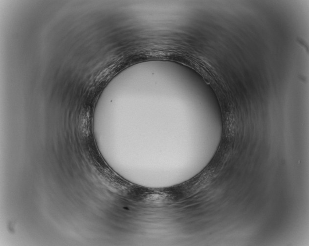 X0000100420364200806201828
