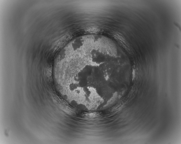 X0000100420365200806201828