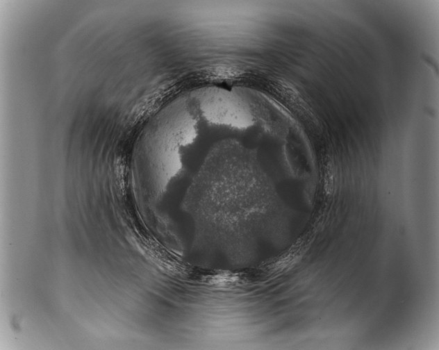 X0000100420366200806201828
