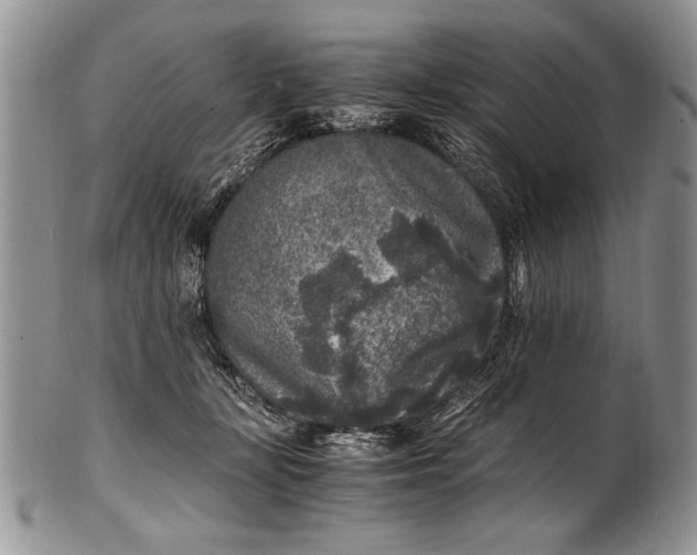 X0000100420367200806201828