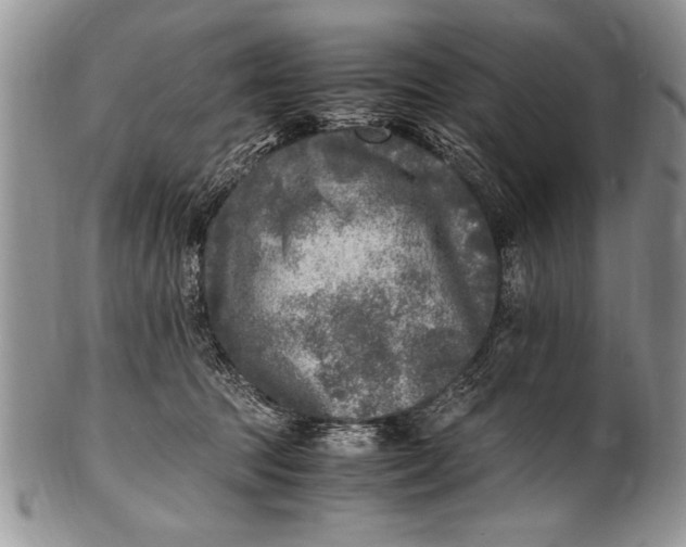 X0000100420369200806201828