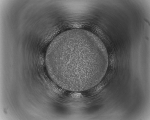 X0000100420374200806201828